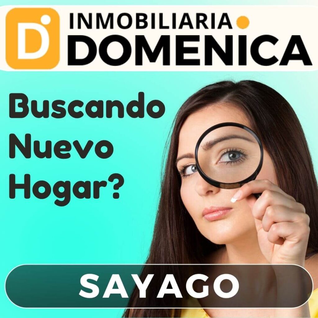 inmobiliaria sayago domenica domenica montevideo